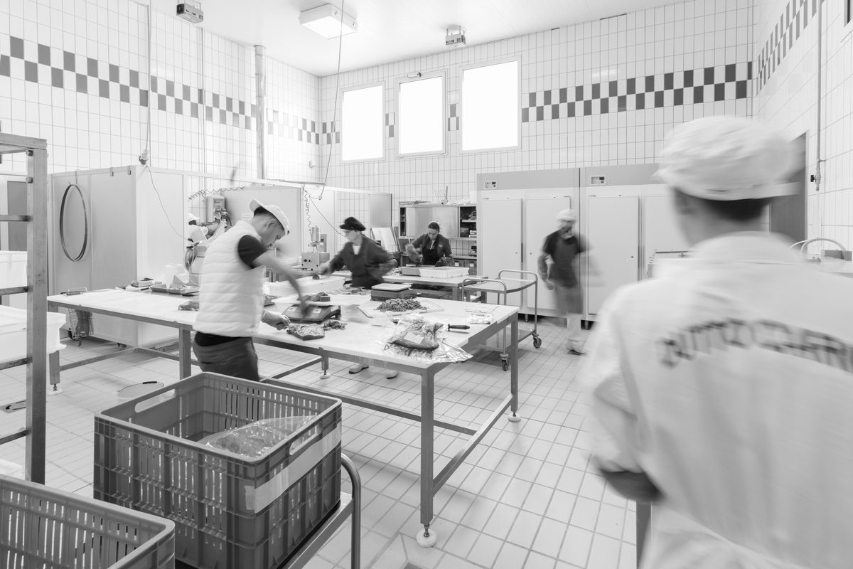 Il laboratorio